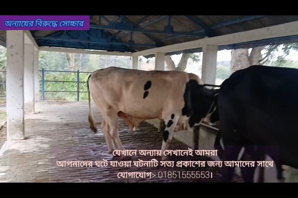 গরুর ডাক  <br> তালমা ডেইরি ফার্ম নগরকান্দা ফরিদপুর। <br>আজ সকাল আনুমানিক ১০ ঘটিকার সময় থেকে ১৫ টি করুন ডাক হয় উক্ত গরুর ডাকে বিভিন্ন এলাকা থেকে বিভিন্ন শ্রেণী পেশীর মানুষ এ ডাকে অংশগ্রহণ ক..