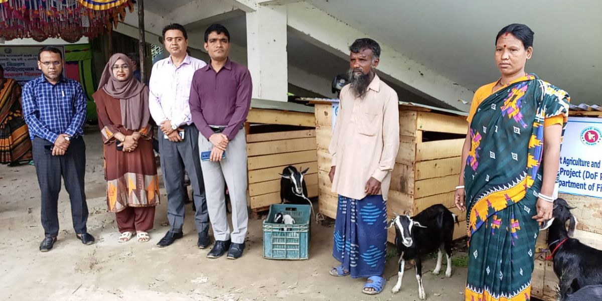 কাহারোলে ছাগল এবং এস.এস কাভার্ড স্টাইবোফোম বক্স  প্রদর্শনীর উপকরণ বিতরণ।..