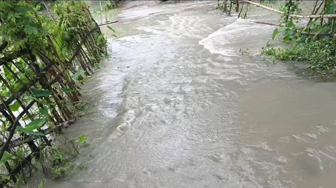 ⁣ঝালকাঠির সুগন্ধা, বিষখালী, হলতা নদীতে স্বাভাবিকের তুলনায় ৩-২ ফুট পানি বৃদ্ধি জনজীবন বিপর্যস্ত।