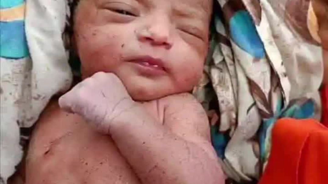 ⁣আজ রবিবার ২৭-০৭-২৫ খ্রিষ্টাব্দে ভোর বেলায় ফুলতলা  উপজেলা সামনে মিস্ত্রিপাড়ার বাগানে একটি নবজাতক কন্
