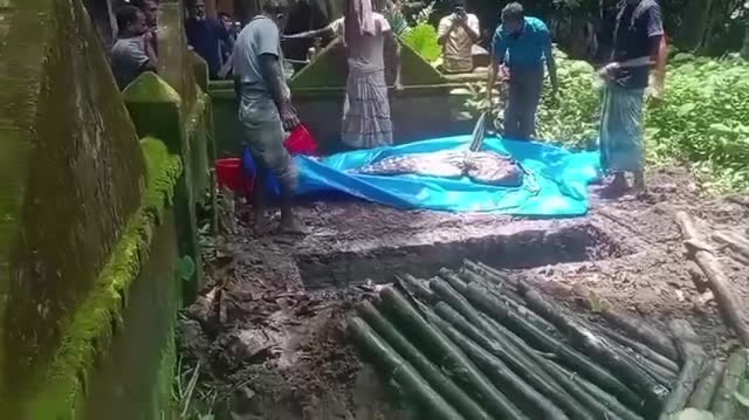 ⁣বাকেরগঞ্জে আদালতের নির্দেশে কবর থেকে শিশু রিফাতের মরদেহ উত্তোলন