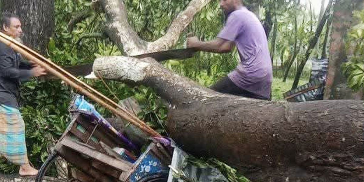 জয়পুরহাটে পৃথক পৃথক ঘটনায় ৩ জনের মৃত্যু