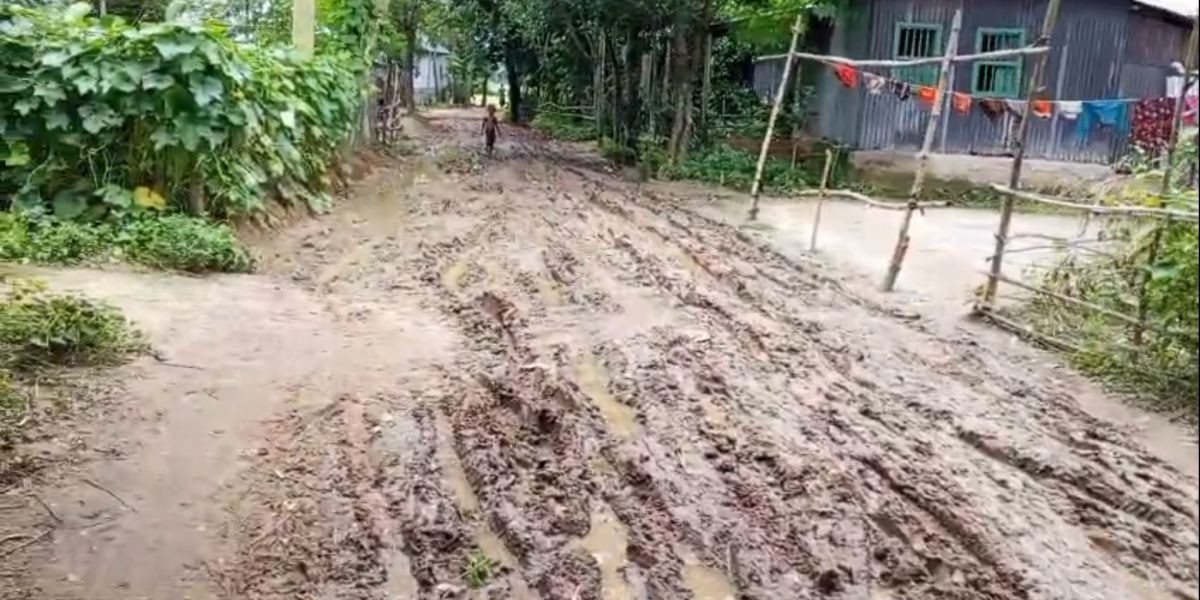 ধনবাড়ী উপজেলার মমিনপুর গ্রামের  কাঁচা সড়কে চলাচলে দুর্ভোগ..