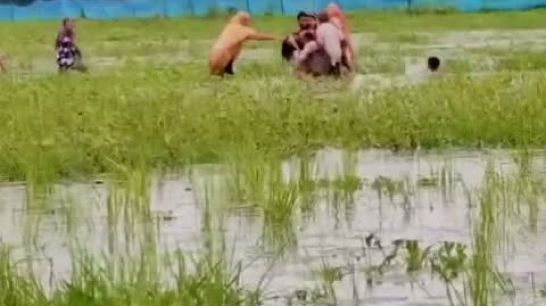 ⁣কুড়িগ্রামে শাপলা ফুল তুলতে গিয়ে পুকুরে পানিতে ডুবে দুই স্কুলছাত্রীর মৃত্যু..