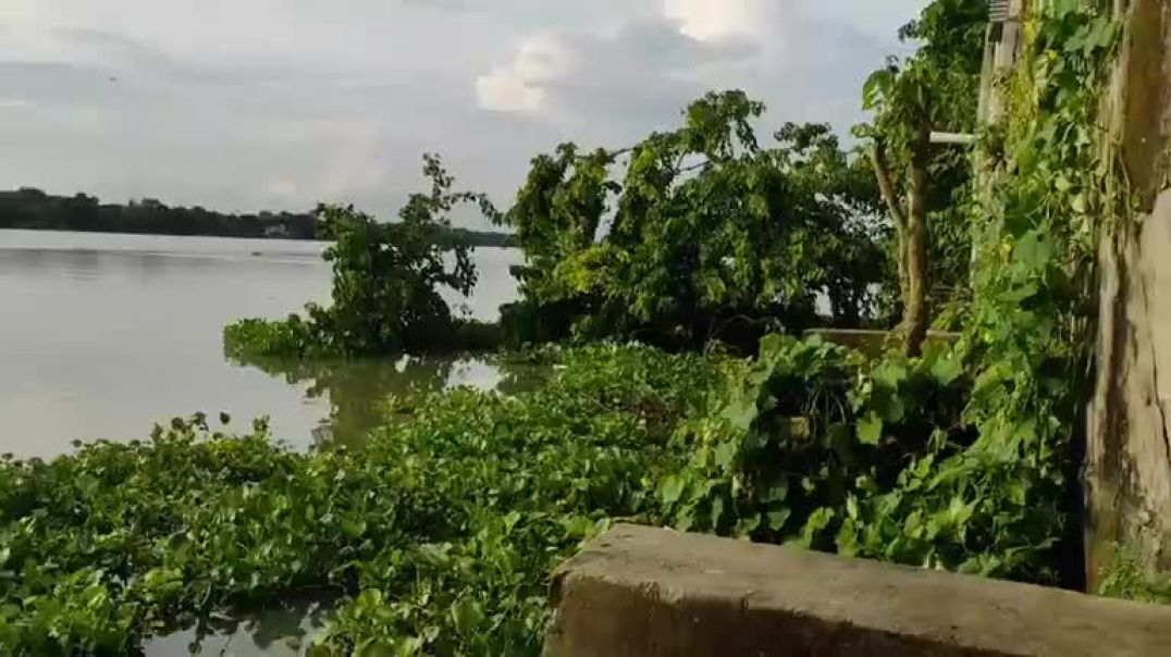 ⁣চাঁপাইনবাবগঞ্জে মহানন্দা নদী ভাঙনে দিশেহারা দুই শতাধিক পরিবার, সরাসরি