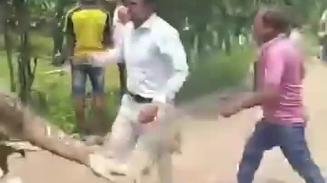 ⁣সেনাবাহিনীর প্রশিক্ষণ বিমান বিধ্বস্ত হয়ে উত্তরা মাইলস্টোন কলেজের ভিতরে পড়ে। অনেক ছাত্র-ছাত্রীর অবস্থ