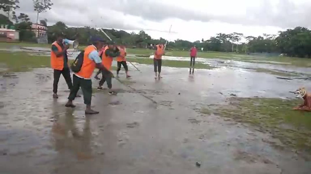 ⁣বাগেরহাট মংলা থেকে সরাসরি বুধবার ৩০ জুলাই ২০২৫ বিশ্ব বাঘ দিবস উপলক্ষে সুন্দরবন বাঁচাও বাঘ বাঁচাও শীর