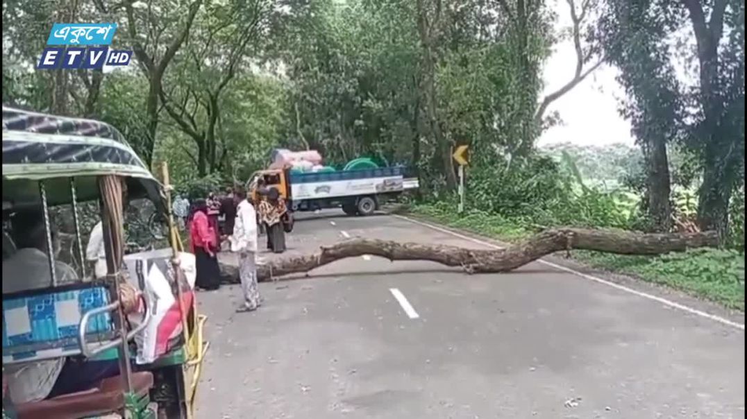 ⁣গোপালগঞ্জে এনসিপির আগমন ঠেকাতে সড়কে গাছ ফেলে প্রতিবন্ধকতা সৃষ্টি