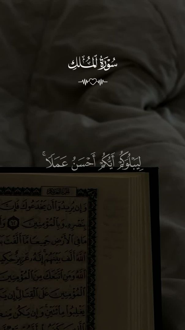#quran #قران #قران_كريم
