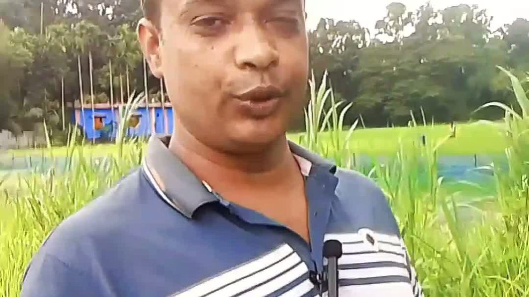⁣কি দেখার কথা কি দেখছি