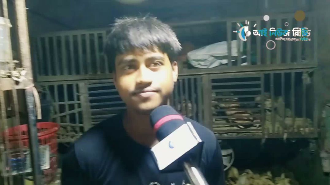 ⁣আশুলিয়া বাডইপাড়া সাপ্তাহিক ব্যয়লার মুরগির বাজার পরিস্থিতি