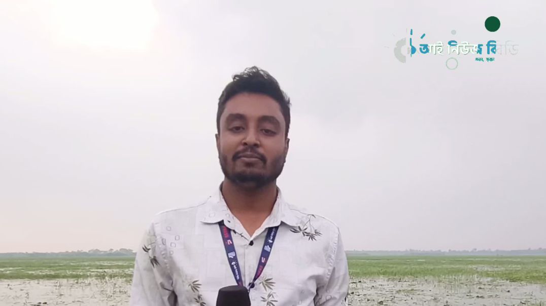 ⁣নাটোরের বড়াইগ্রামের ঐতিহ্যবাহী বিল চিনিডাঙ্গা পদ্মবিলের বর্তমান অবস্থা