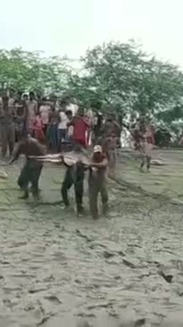 সাতক্ষীরা শ্যামনগরে সুন্দর বনের হরিণ উদ্ধার