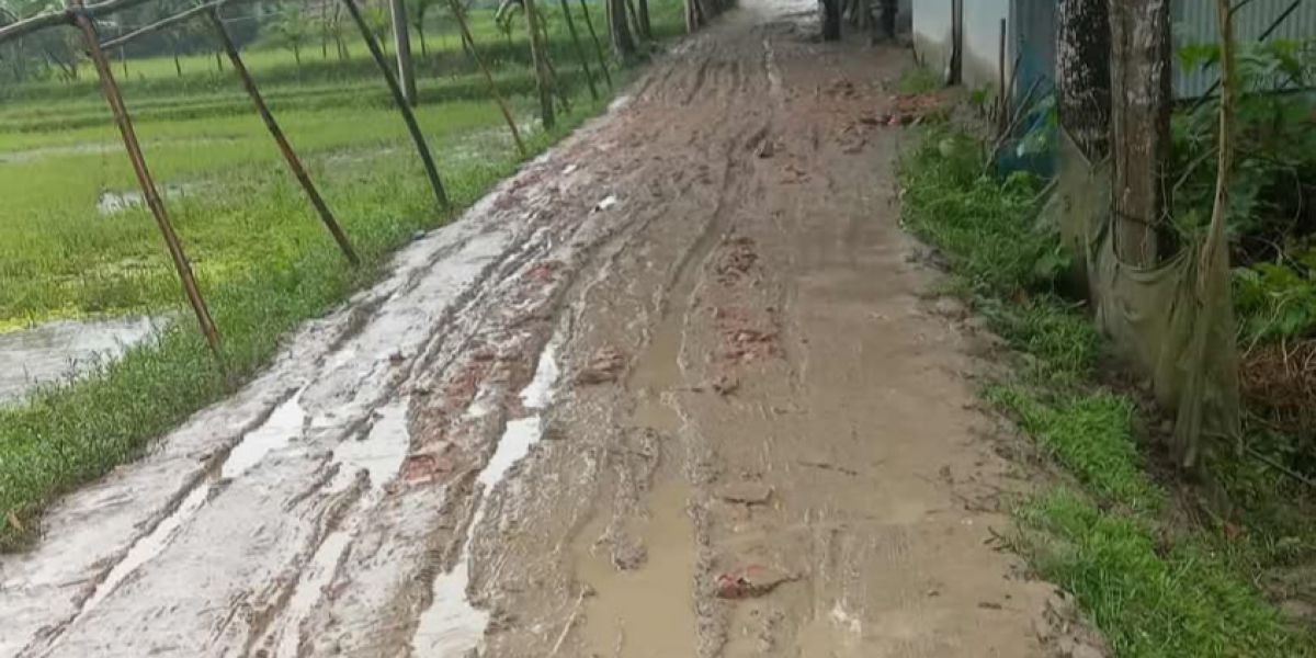 ধনবাড়ী  উপজেলার  উখারিয়াবাড়ী  ডিগ্রি কলেজের  সামনে কাঁচা  সড়কে  চলাচলে দুর্ভোগ..