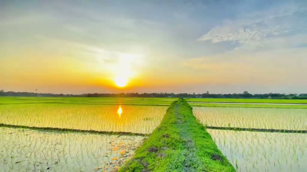 Mon kharap thakle dekhun