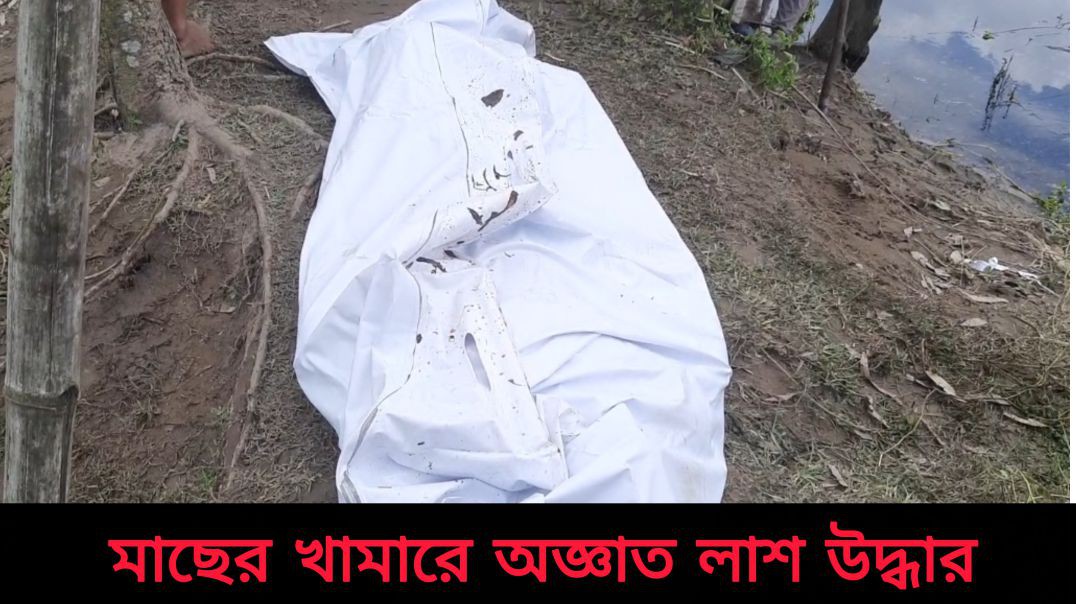 লালমনিরহাটে মাছের খামারে অজ্ঞাত লা*শ উদ্ধার
