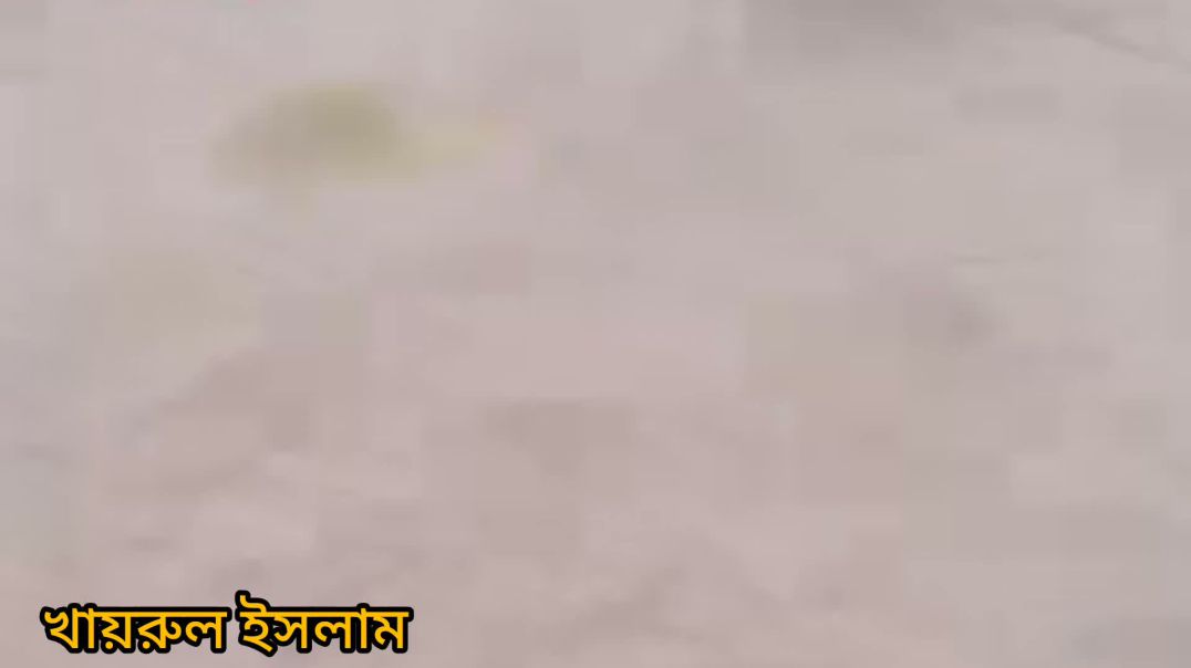 ⁣প্রান নাশের হুমকি দিচ্ছেন মেম্বার।