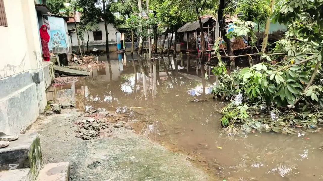 ⁣বগুড়া পৌরসভার 13 নং ওয়ার্ড বেতগড়ি এলাকায় পানি জমে যাওয়ার কারণে সৃষ্টি হয়েছে তীব্র জনদুর্ভোগ। স
