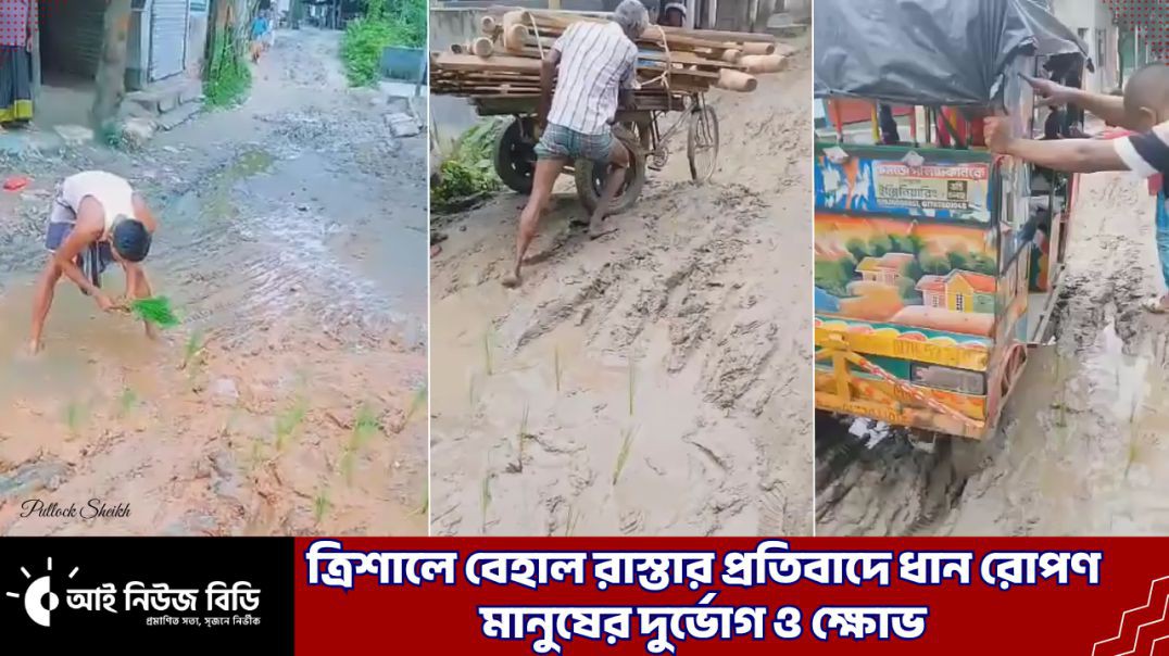 ⁣ত্রিশালে বেহাল রাস্তার প্রতিবাদে ধান রোপণ: মানুষের দুর্ভোগ ও ক্ষোভ | Trishal Road | Social Issues