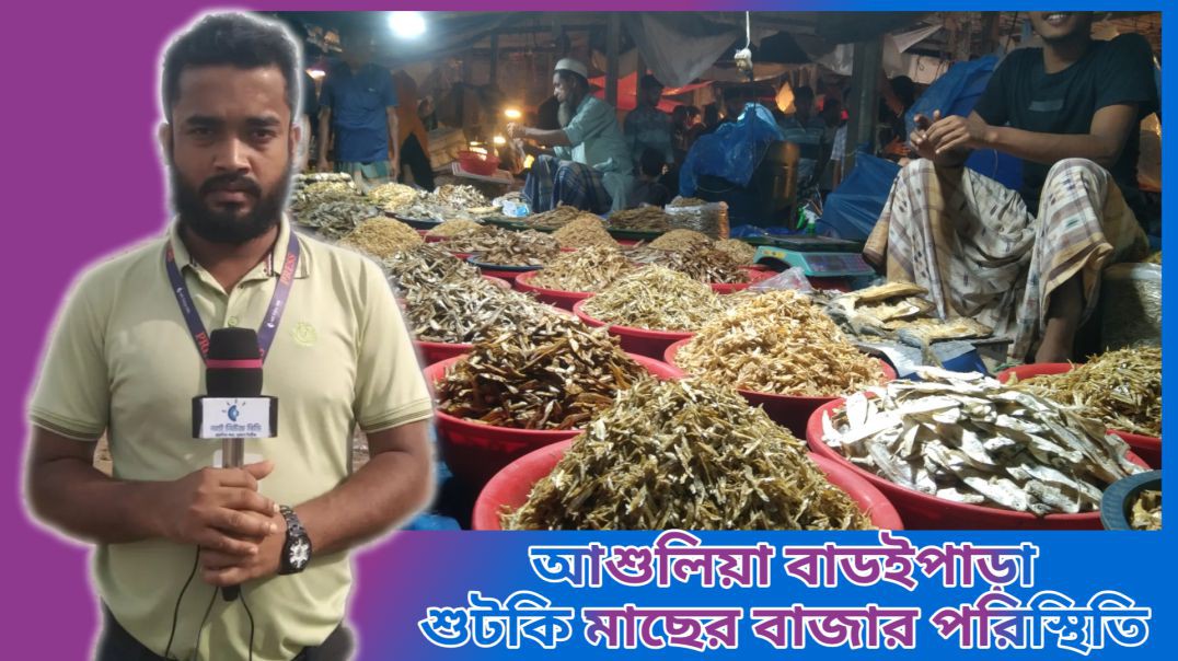 ⁣আশুলিয়া বাডইপাড়া শুটকি মাছের বাজার পরিস্থিতি নিয়ে সর্বশেষ
